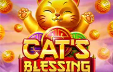 Cats blessing