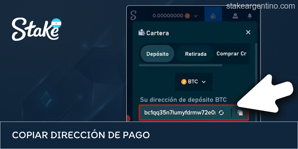 Uso de dirección cripto generada por Stake